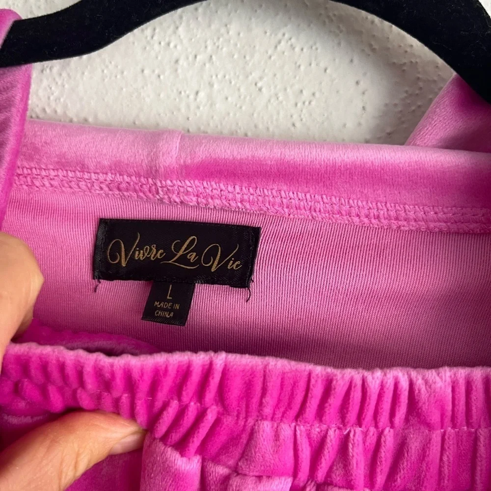 Vivre La Vie Velvet Pink Y2K Jogger and Crop Hooded Sweatshirt Set, Size L